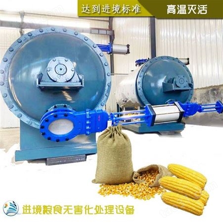 烟台保税区粮食湿热处理设备 进口玉米高温灭活机器