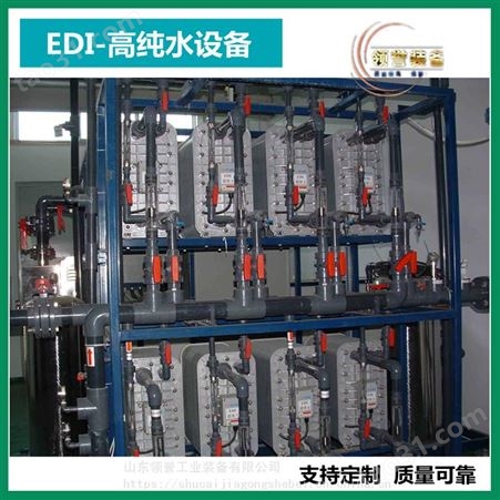 领誉 双级反渗透EDI纯水设备 50吨/h水净化装置