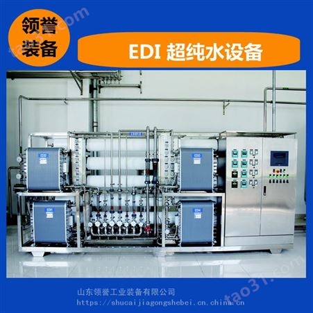 领誉 双级反渗透EDI纯水设备 50吨/h水净化装置
