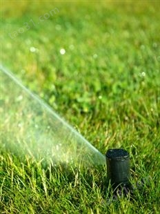 美国雨鸟5004地埋式自动旋转喷头绿化灌溉花园草坪喷灌升降喷水