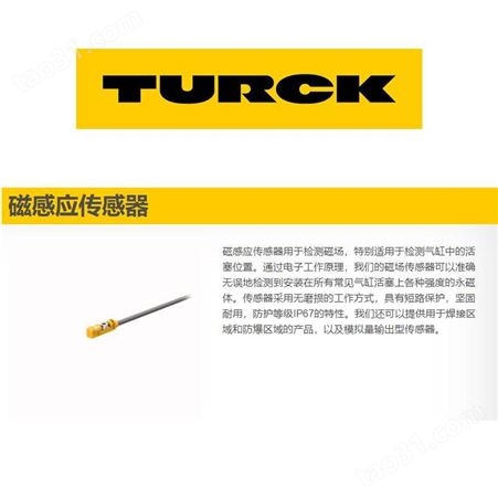 德国TURCK图尔克电容式传感器NCLS-30-UP6X-H1141霏纳科