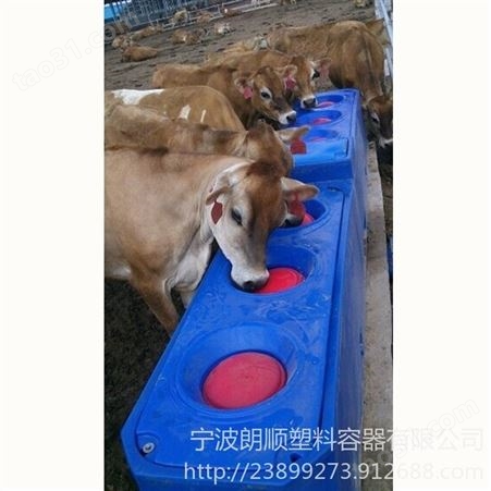 供应奶牛饮水槽 能控制水温的奶牛养殖饮水槽