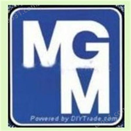 现货MGM电机 MGM