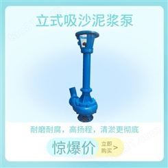 NSL100-35立式泥浆泵 钻井泥浆泵 打桩专用泥浆泵厂家 韩辉