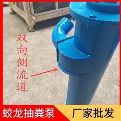 大理3寸1米鸡粪抽粪泵 铰刀型泥浆泵 韩辉养殖厂专用泵