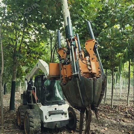 园林树苗移植机 滑移式四铲挖树机 6瓣苗圃移树机