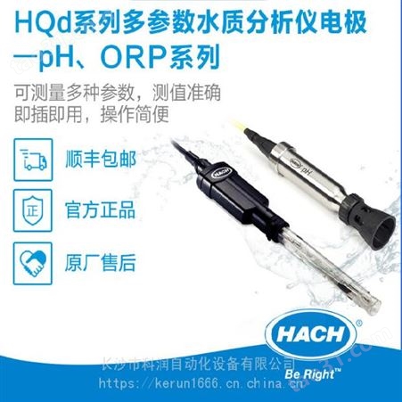 哈希分析仪 PHC28101 充液式纯水PH电极标准型PH复合电极1米电缆