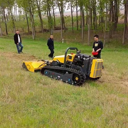 园林绿化草坪修剪机 全自动草坪修剪机 河道堤坝斜坡智能剪草机
