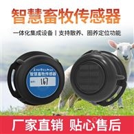 猪牛羊RFID识别定位 智慧畜牧业耳标 溯源测温智能电子耳标