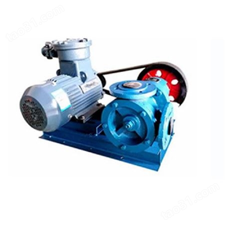 欢迎 罗茨泵转子泵 高粘度罗茨泵 卧式电动罗茨油泵 加工定制