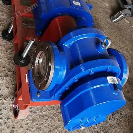 欢迎 罗茨泵转子泵 高粘度罗茨泵 卧式电动罗茨油泵 加工定制