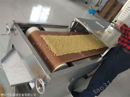 赣州工业微波干燥设备加工