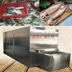 东港鱿鱼速冻机设备 海鲜快速冷冻厂家 隧道式速冻机