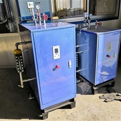 供应蒸汽发生器 燃气锅设备 蒸煮烘干电蒸汽配套机