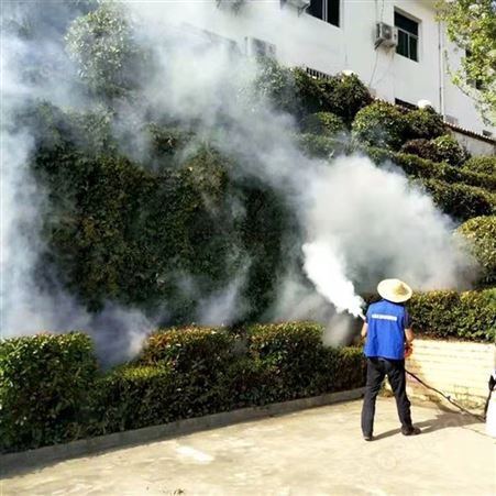 小型脉冲弥雾机 社区环卫消毒喷雾机 双管不锈钢烟雾机
