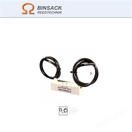 Binsack继电器291/21-12-A072-MS 10882