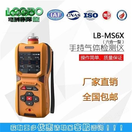 LB-MS6-O3手持式臭氧检测仪厂家直发 便携式气体分析仪