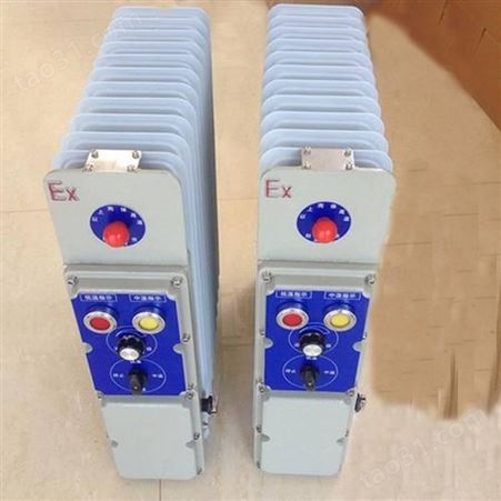 RB-2000-127V防爆电暖器用于矿用照明综保装置配套作取暖设备