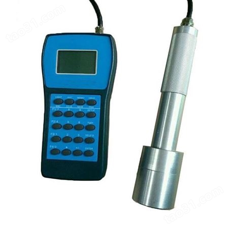 CTH1000一氧化碳检测报警仪 体积小重量轻 气体检测仪 多种气体检测报警仪