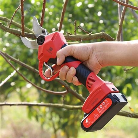 恒翔 修果树用电剪刀 锂电充电式剪子 园林修枝粗枝剪