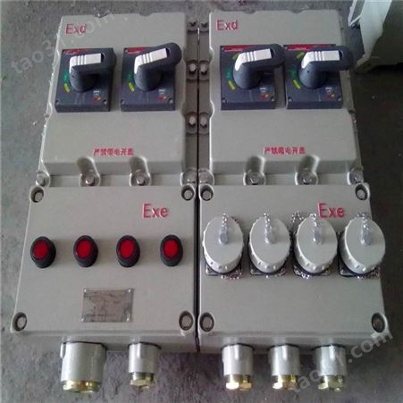 工业专用防爆检修电源插座箱 BXS-2/12气体粉尘防爆电源插座箱