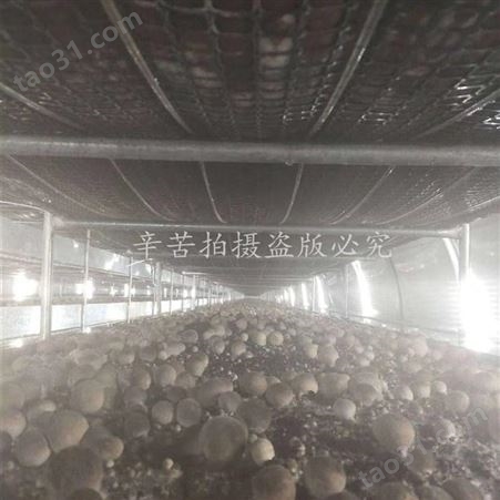 六安食用菌菇房专用空调 蘑菇大棚专用空调 德州金葫芦定制