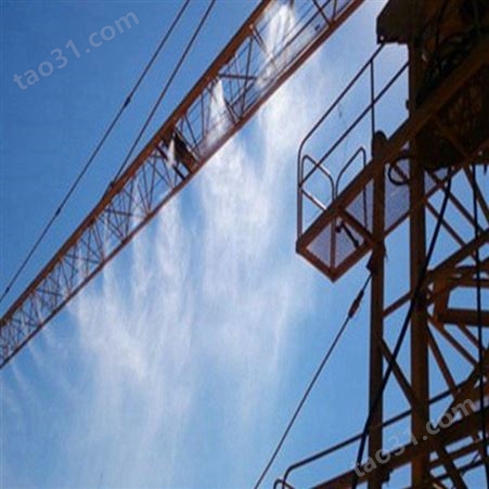 建筑工地塔吊喷淋 安徽池州 100米全自动塔吊喷淋
