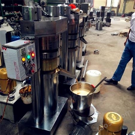 6YZ-300立式液压榨油机 芝麻香油榨油机 云开小磨香油榨油设备