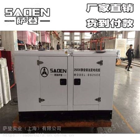 萨登大型供电12千瓦柴油发电机