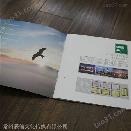 江苏镇江 营销画册设计 辰信 纪念册设计印刷 画册印刷