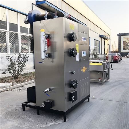 电加热小型蒸汽发生器 高压锅配备蒸汽发生器