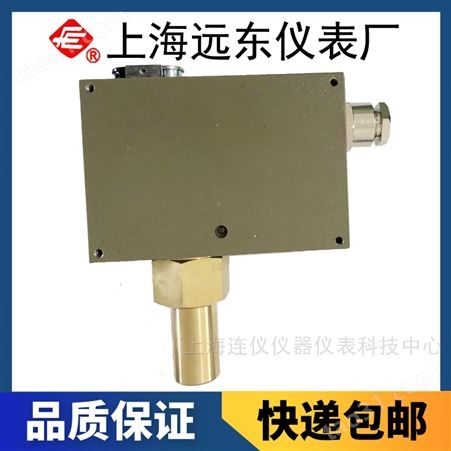 上海远东仪表厂D505/7DZ双触点压力控制器0816508