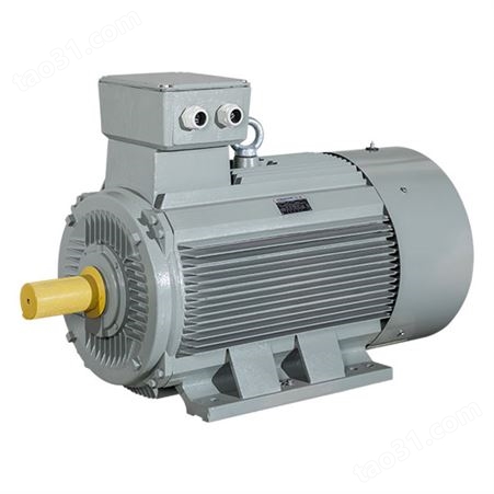 Ac-motoren FCM 200 L-4/HE 电机
