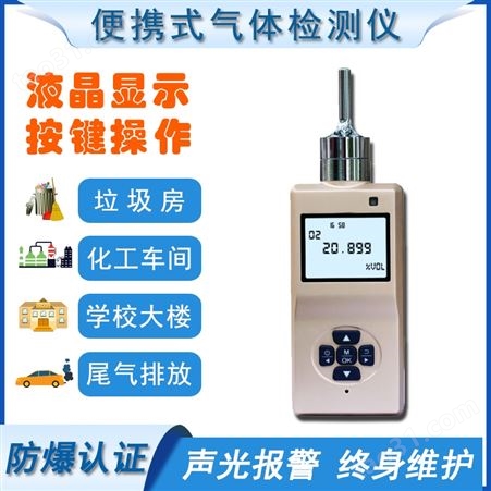 便携式硫化氢气体检测仪工业用硫化氢泄漏浓度报警器