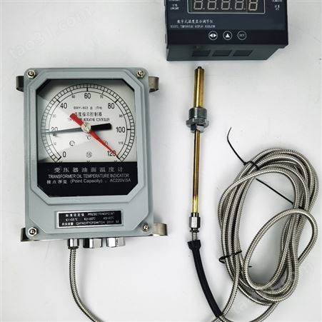 山东数显温度控制器BWY-803(TH)