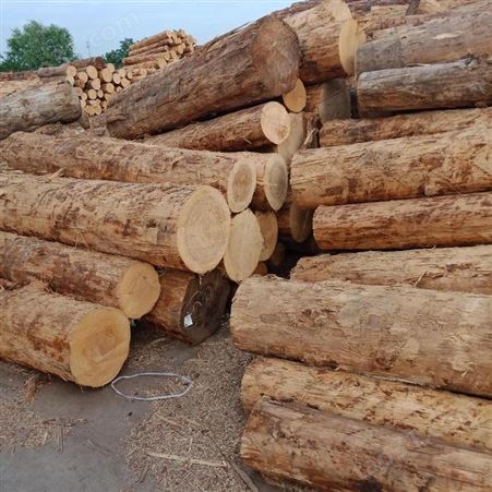 呈果木业生态木方白松木方可定制建筑工程工地木方规格欢迎选购