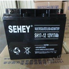 SEHEY西力蓄电池NPG200-12 免维护12V200AH 太阳能 监控设备 UPS应急电源