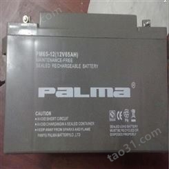 八马蓄电池PM80-12 PALMA蓄电池12V80AH EPS应急直流屏配套