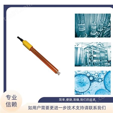 上海 三信 水硬度电极 601-S 测量分析水质 溶液 液体总硬度（钙镁离子）