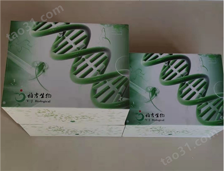 人白介素11（IL-11）Elisa试剂盒