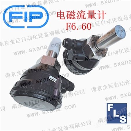 FIP（FLS）F6.60电磁流量计变送器