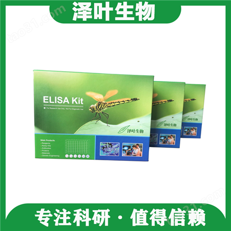 全国销售 Human ELISA Kit（APLN36）（ZY-E6971H）人 ELISA试剂盒