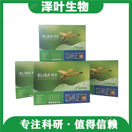 Human （ANGPTL7）ELISA Kit（ZY-E6302H）ELISA试剂盒