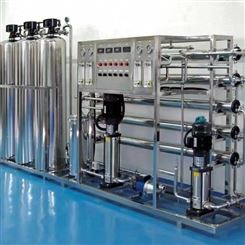 EDI超纯水设备 18M 电阻水处理设备 PLC控制电控设备