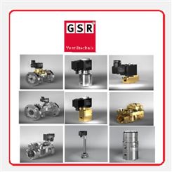 GSR电磁阀线圈,B0051.000161电磁阀线圈,GSRK0510390